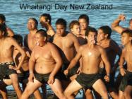 Whaitangi Day New Zealand